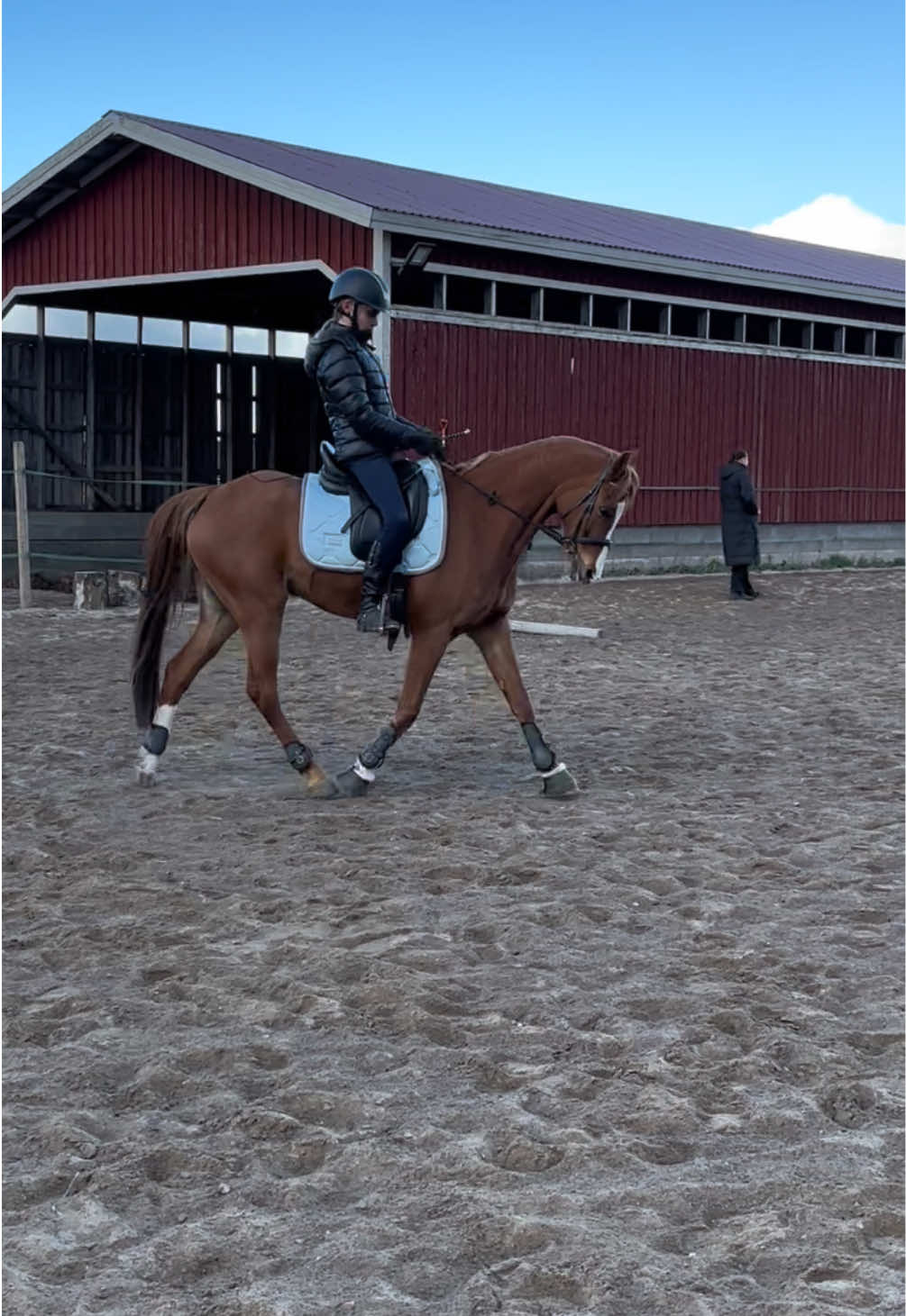 @Equestrian_tiiaa