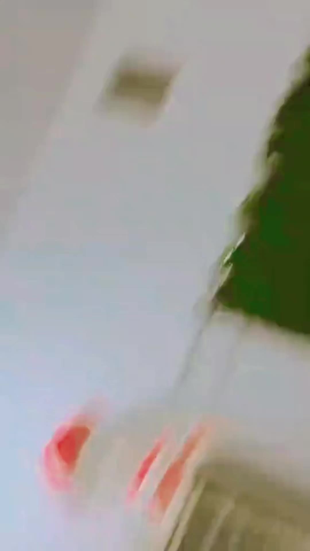@ミ★ 𝘚𝘢𝘙𝘢 𝘚𝘢𝘸𝘢𝘵𝘪 ★彡