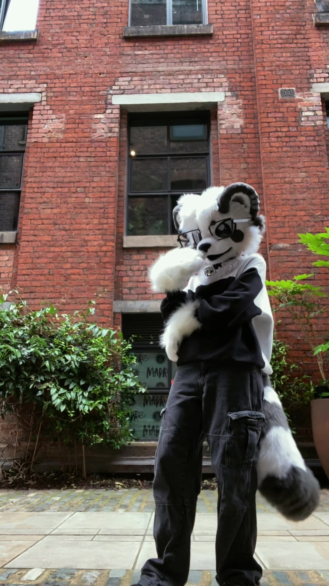 @🎬Lykoi🐾