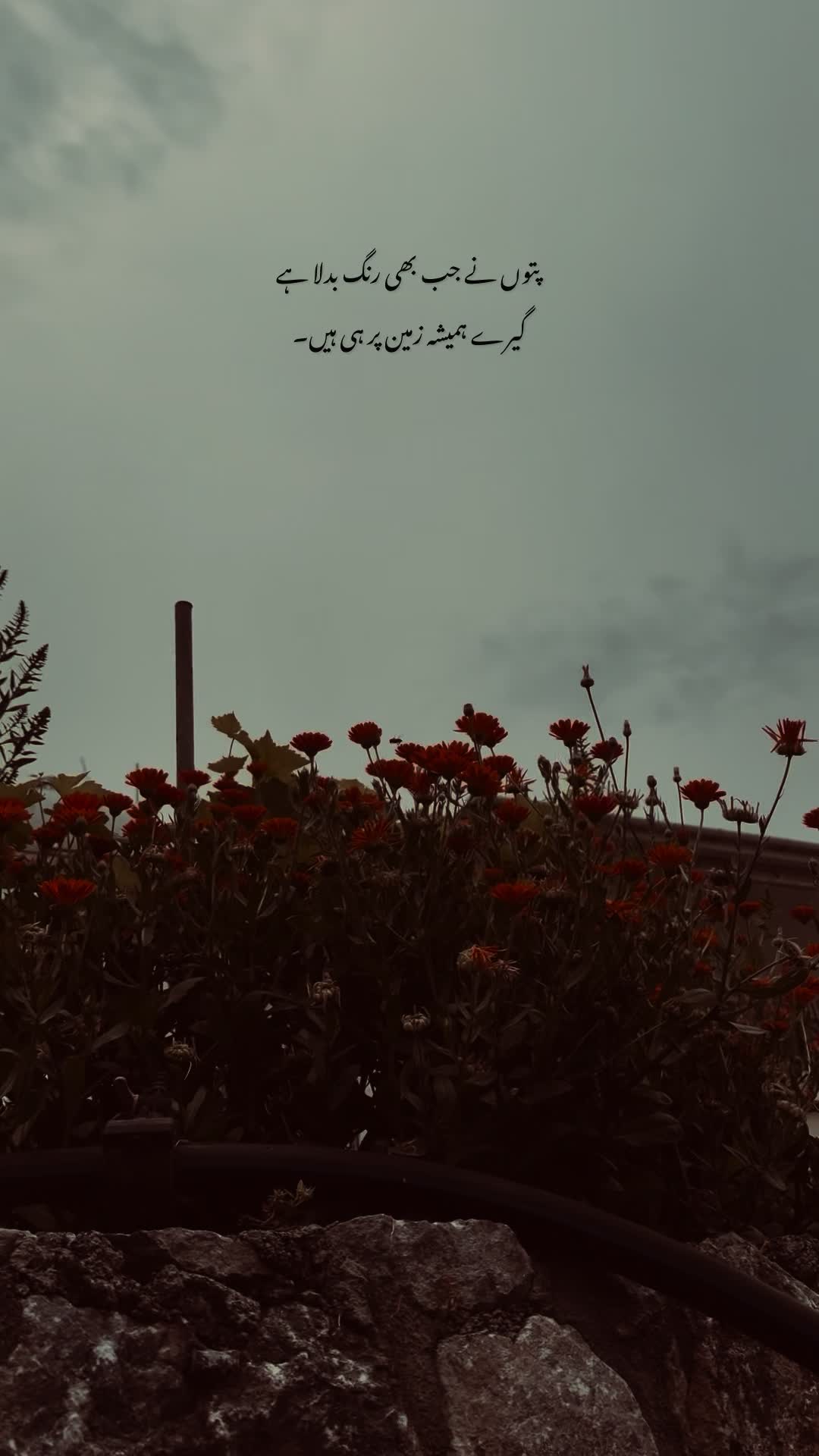 @Huسnain&bull;🖤🧸