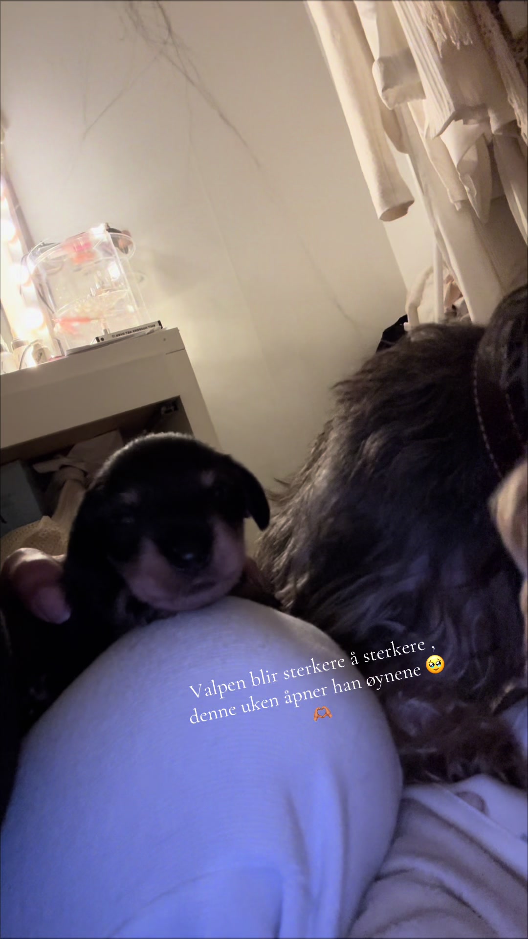 @Marita Persson