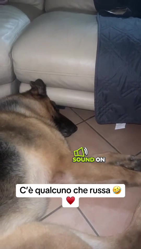 @ilaria71121