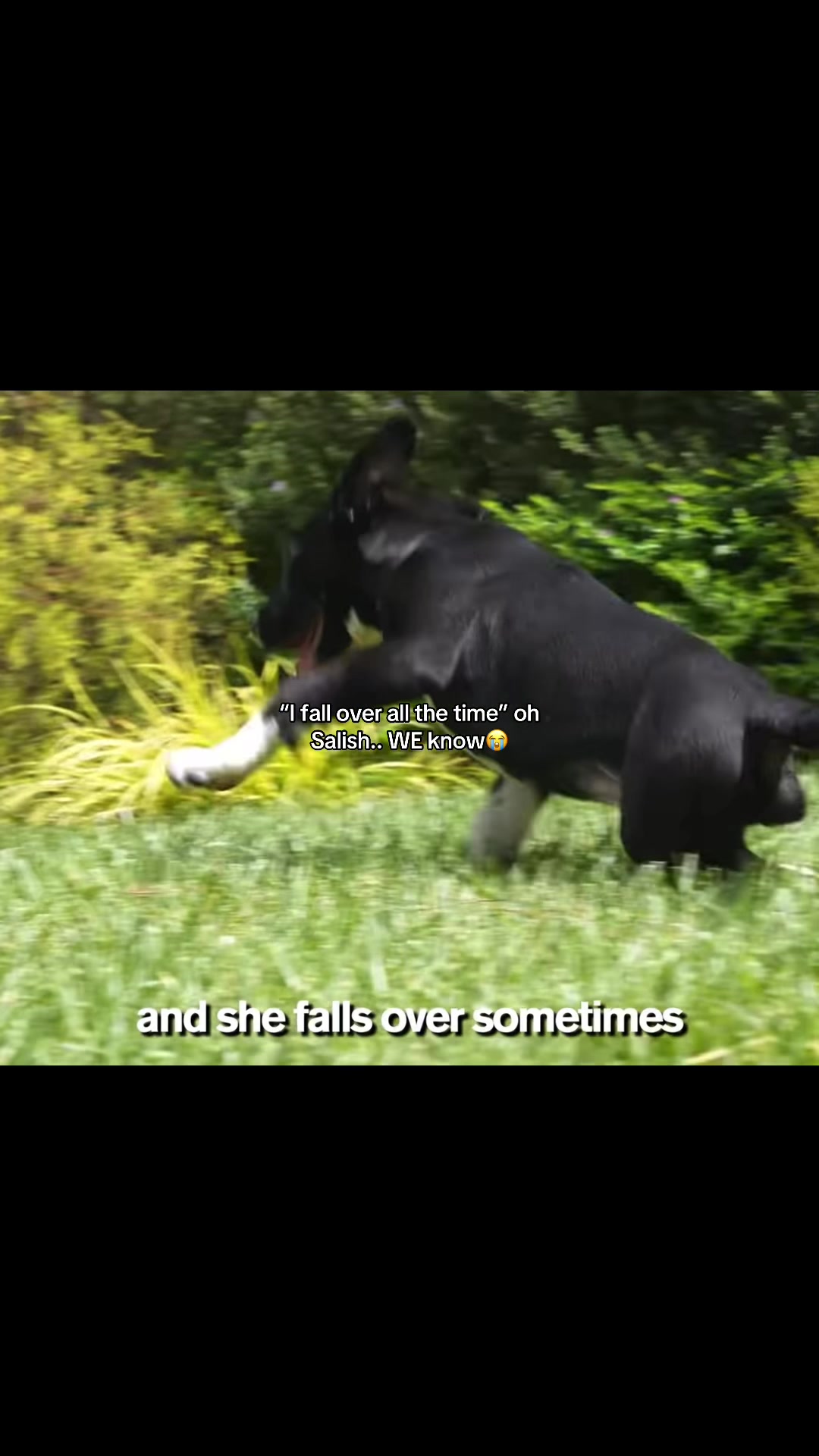 @𝜗ৎ 𝓓𝓲𝓪𝓷𝓪 !!