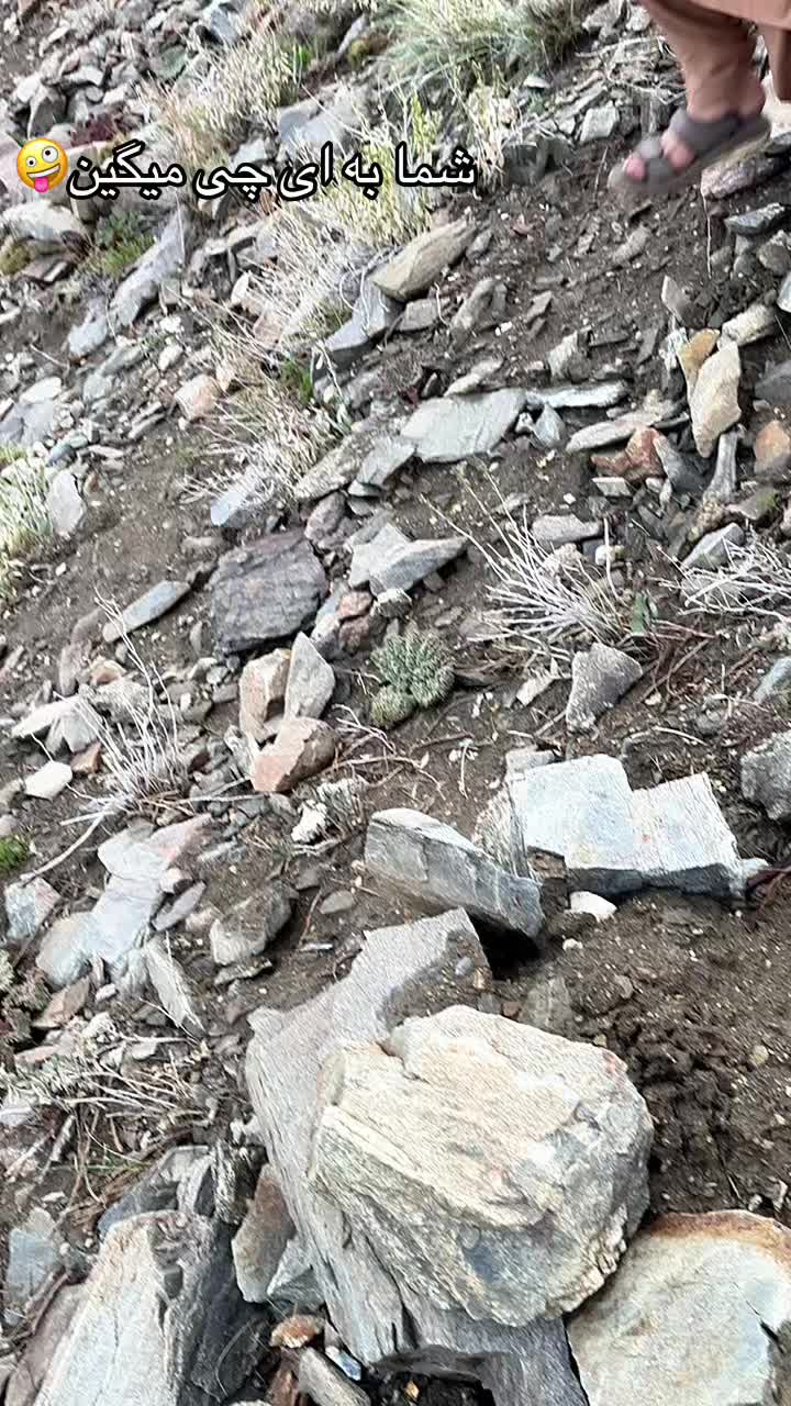 @Ghazni—غزنی