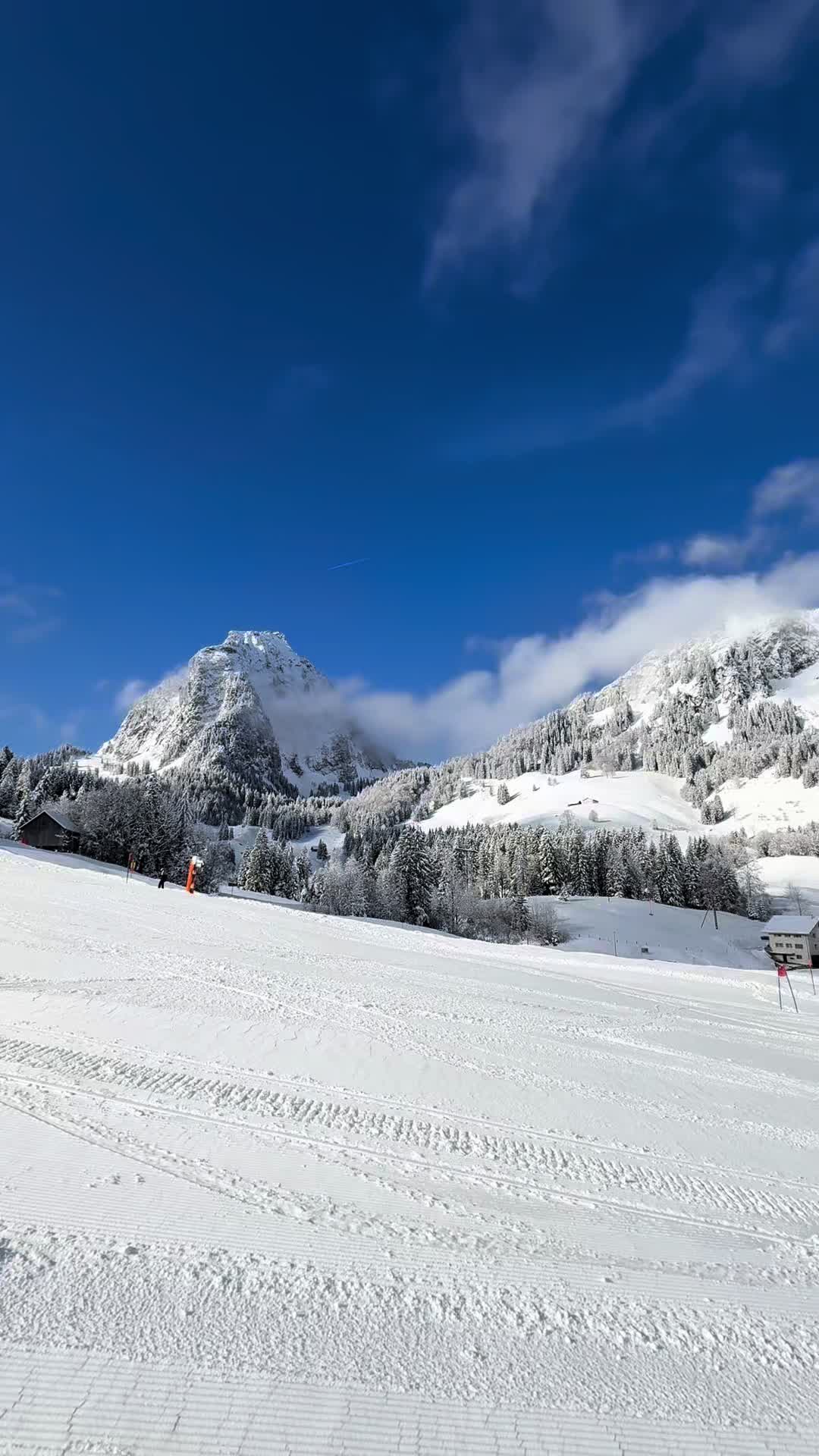 @Brunni-Alpthal