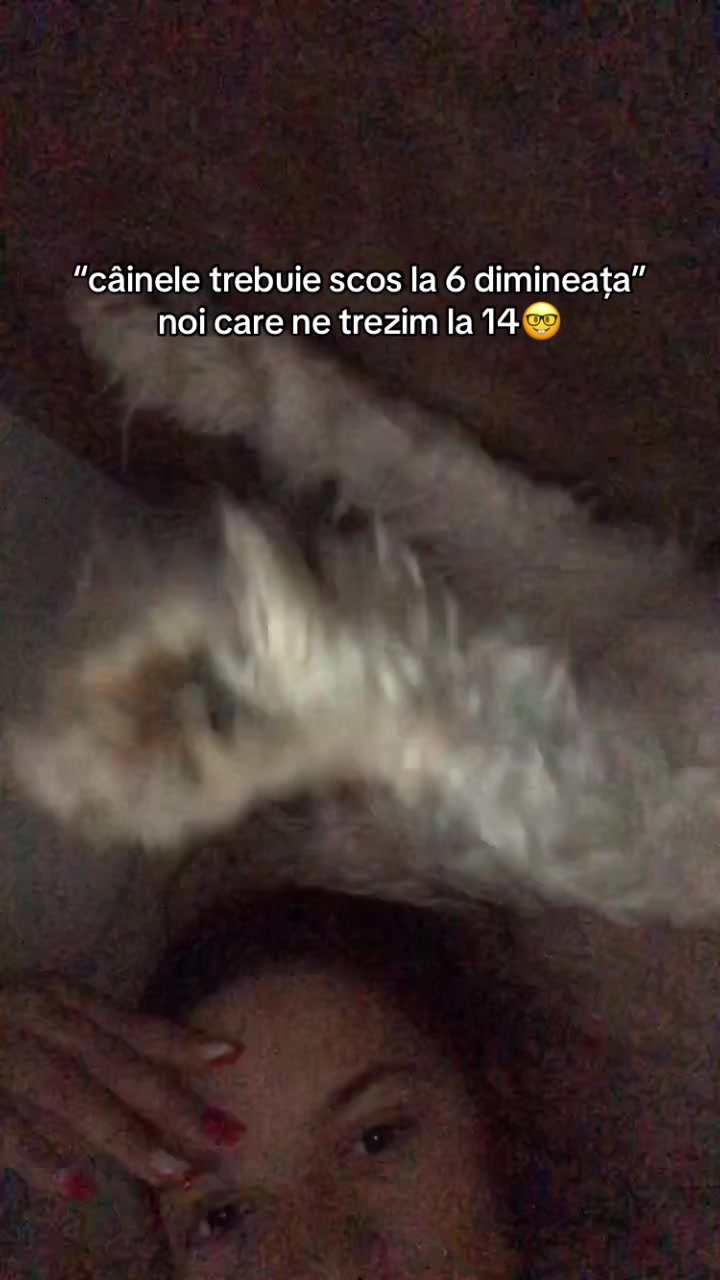 @𝐿𝒶𝓋𝒾🐍