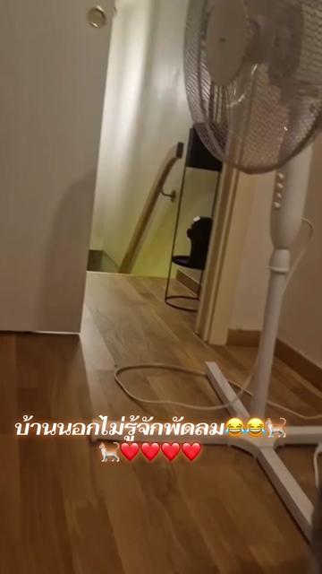 @🎀💗Aom Phetchabun 🍶💗🎀