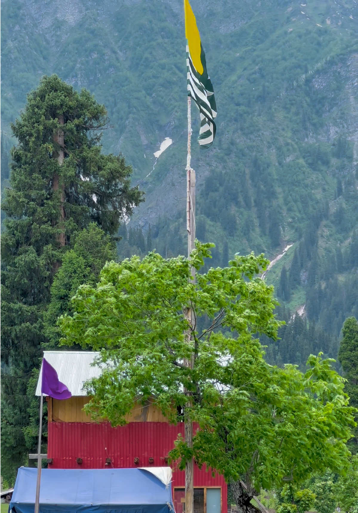 @Aamir Kashmiri 🍁