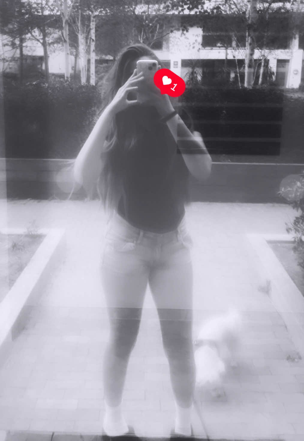 @Daniel&eacute; ᥫ᭡