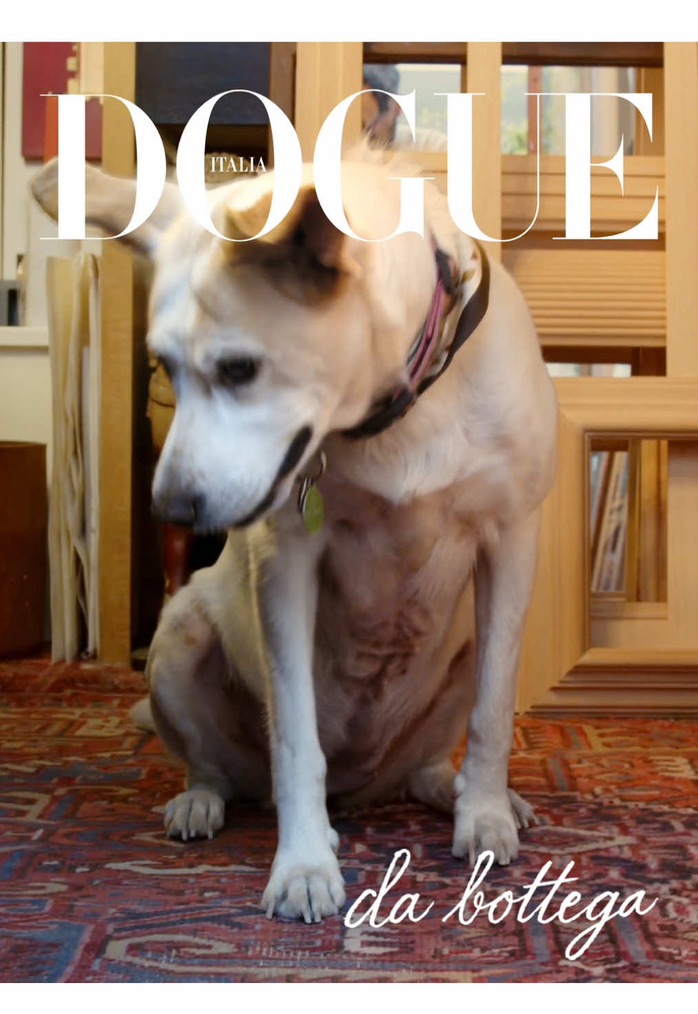 @vogueitalia