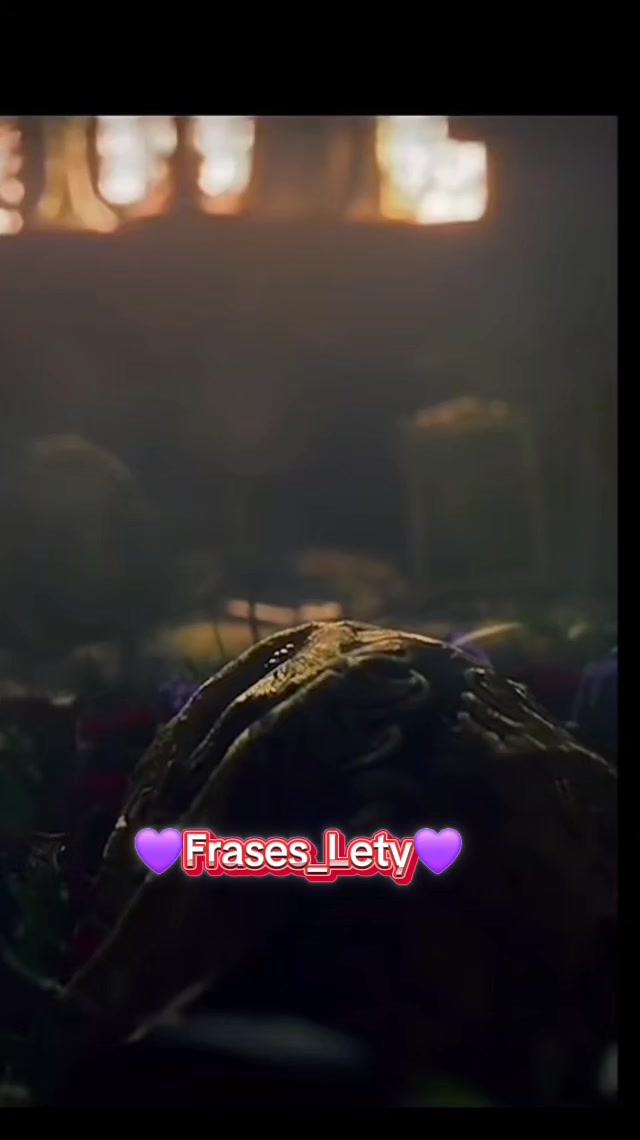 @꧁💜Lҽƚყ💜꧂