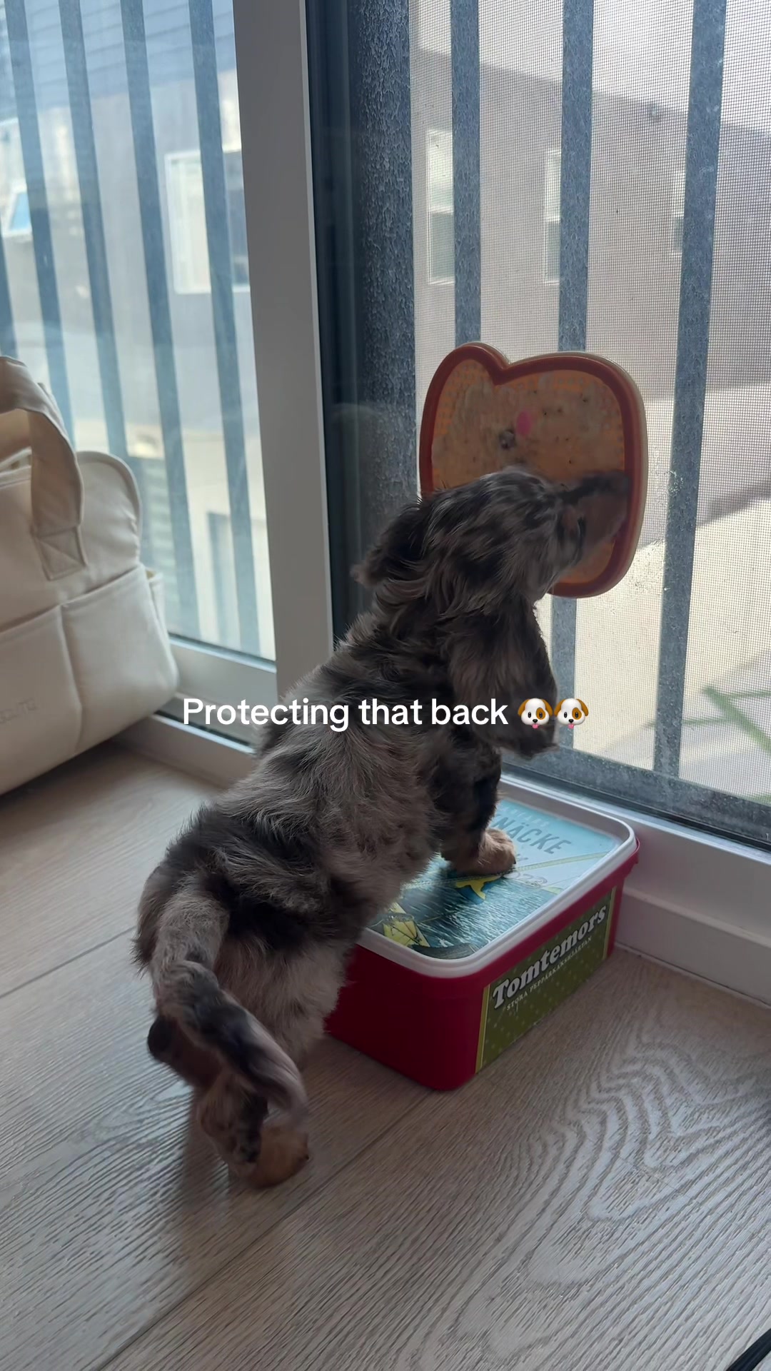 @Sara Engerdahl
