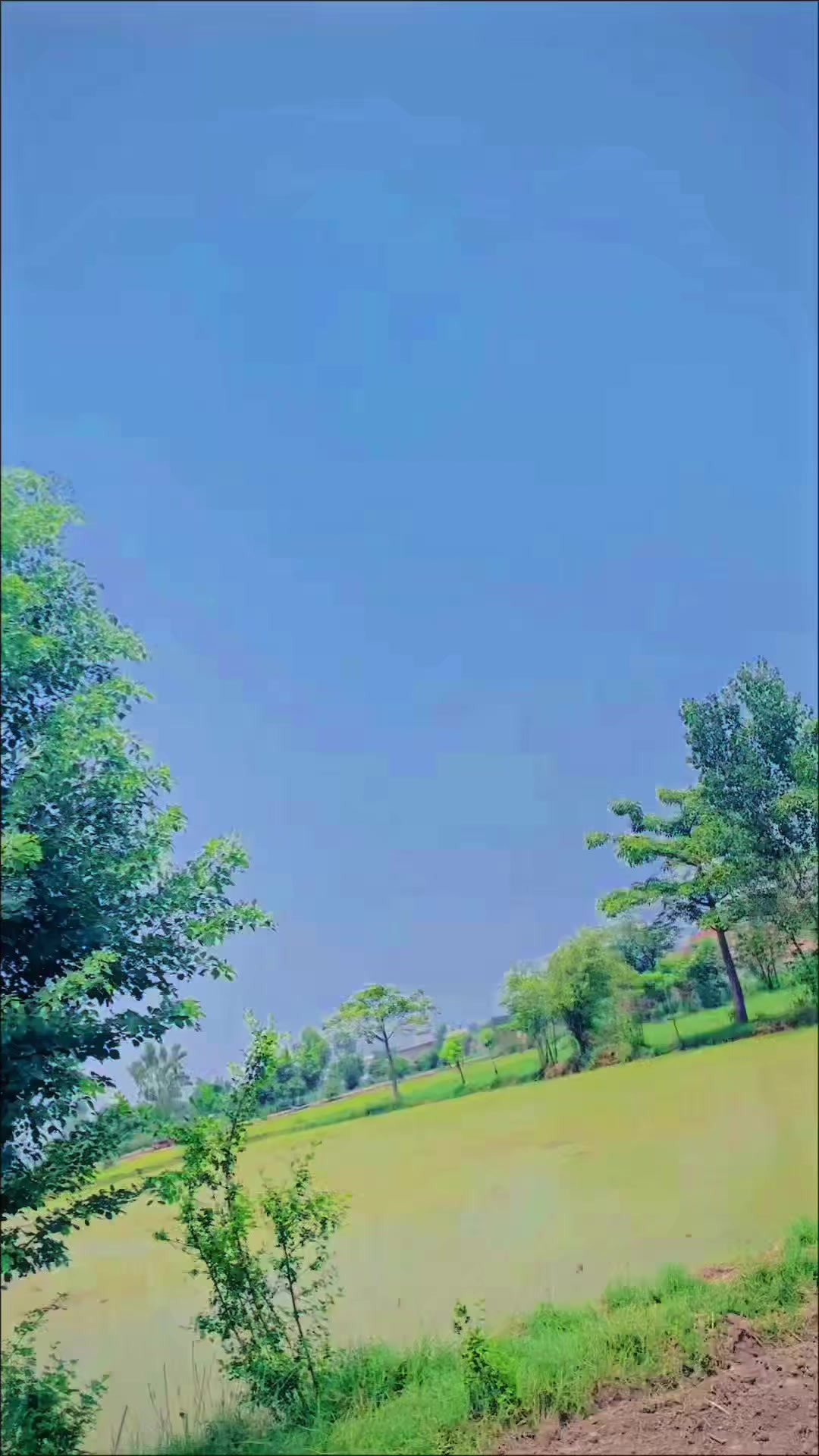 @Salman Ranjha