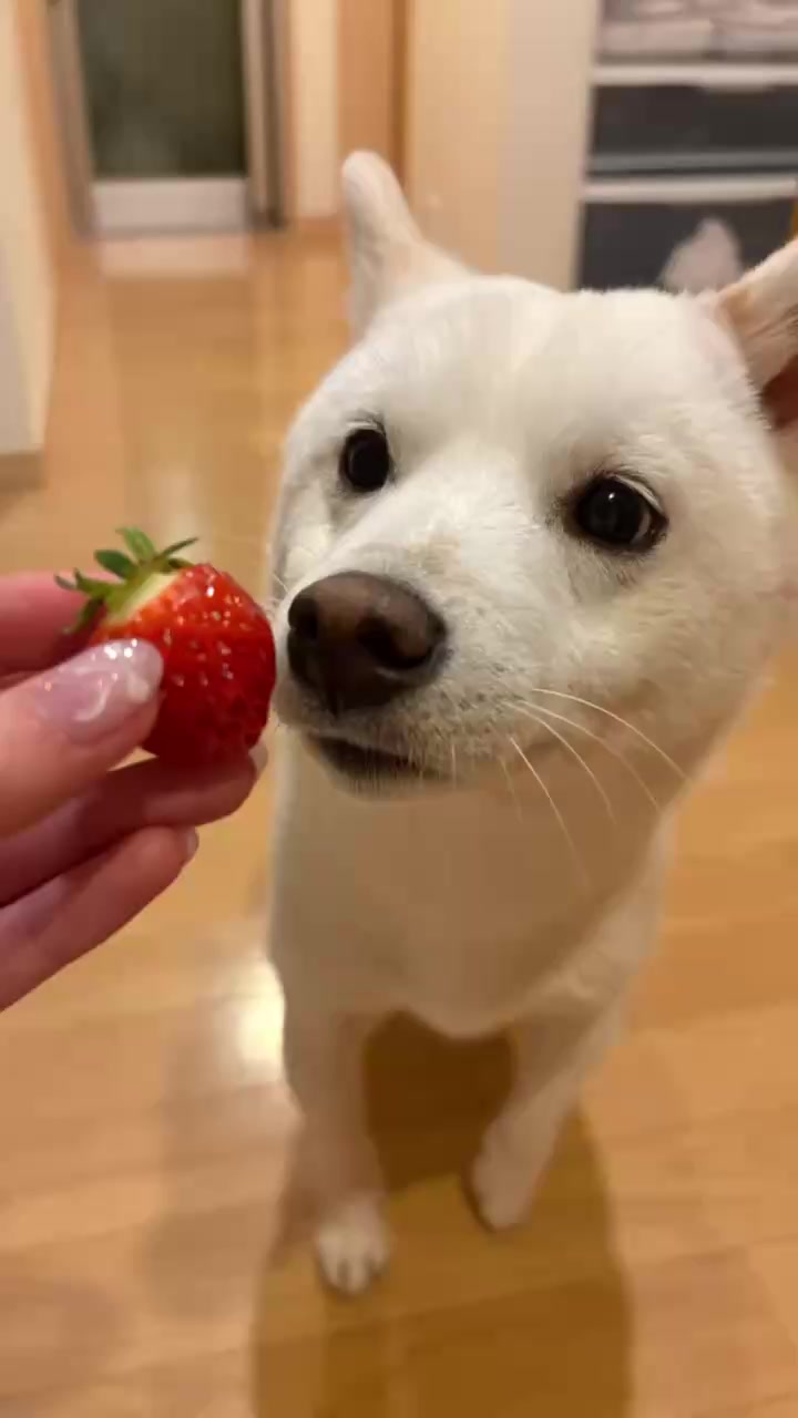 @Mochimaru