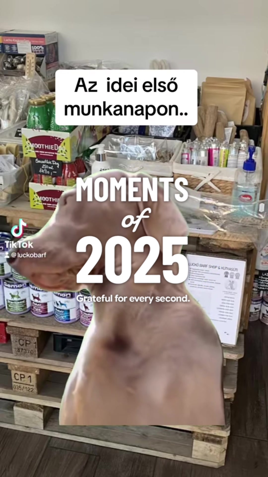 @Lucko Barf & Kutyasüti