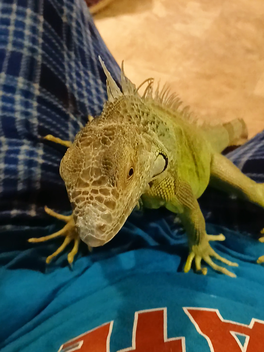 @Jimmy4 🦖