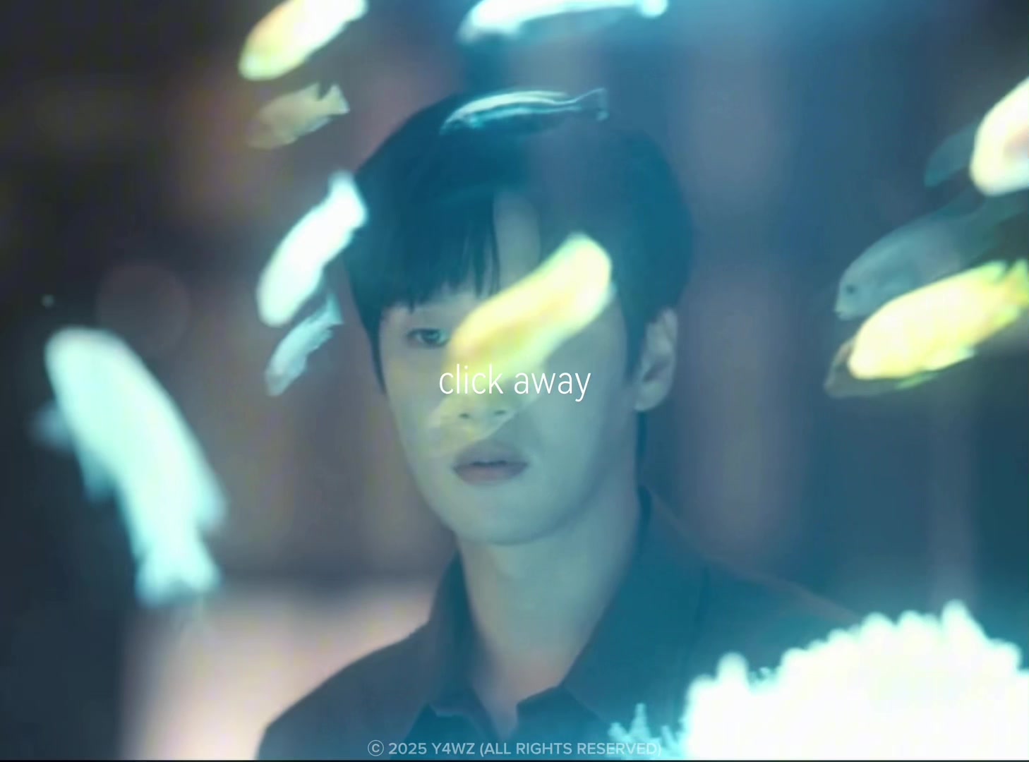 @y4wz ★