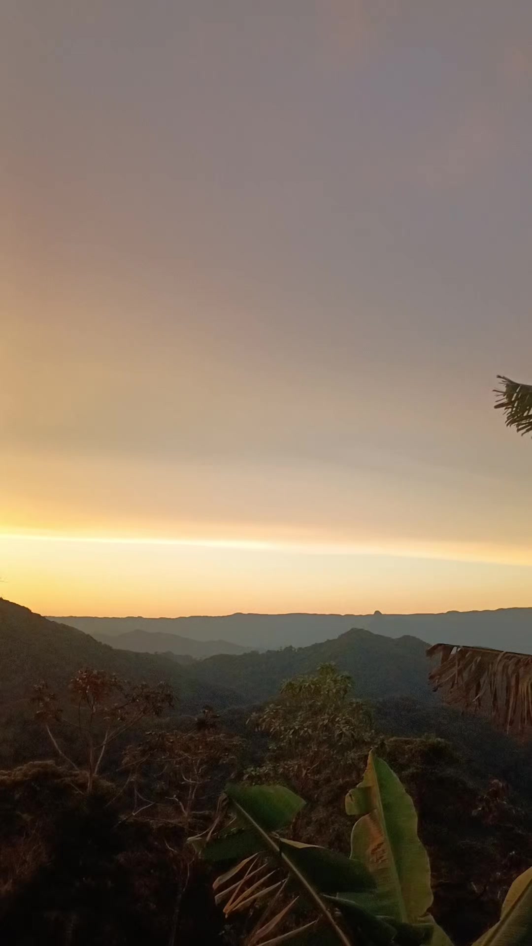 @vilmar alem&atilde;o