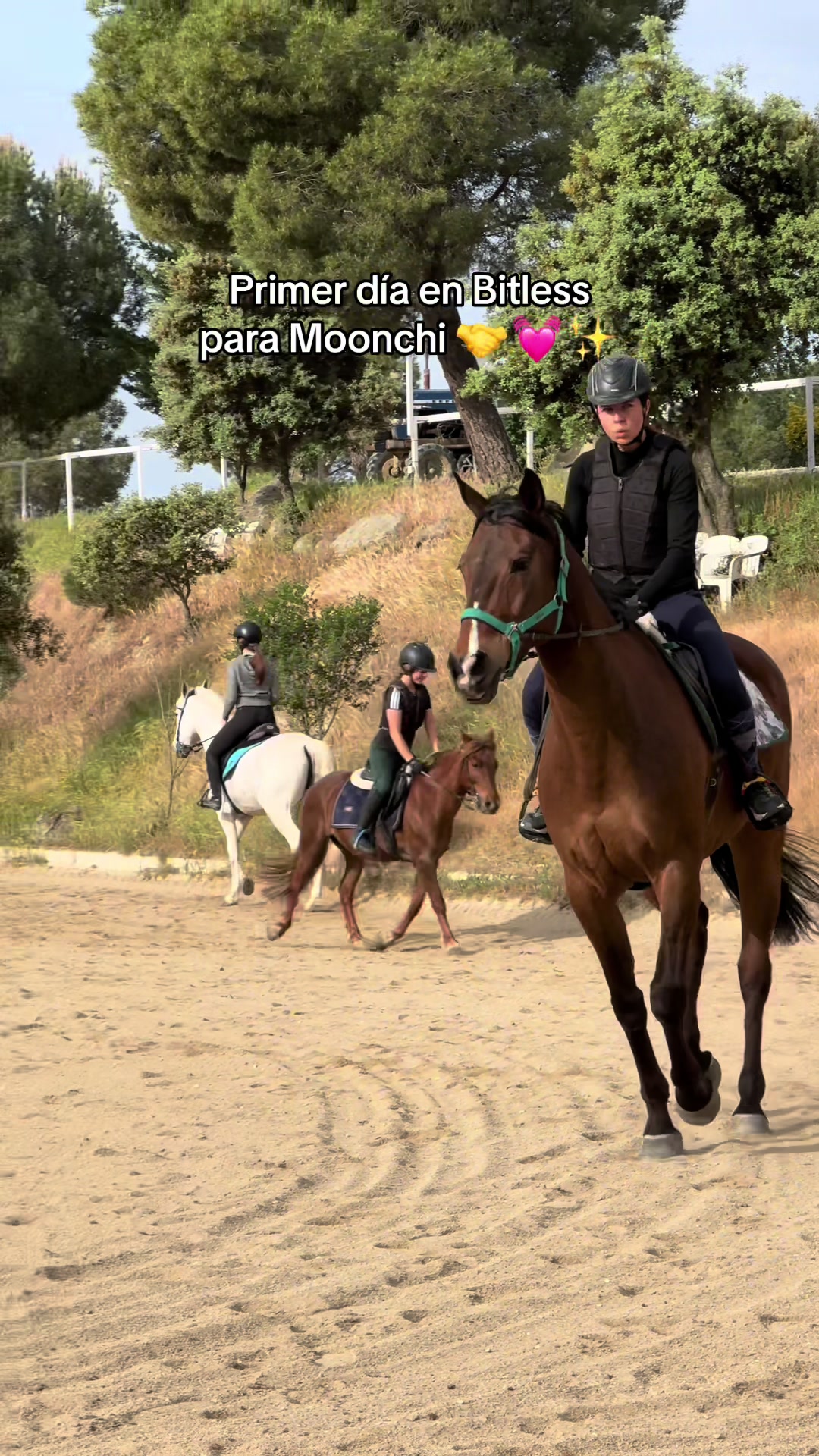 @DiarioOcultoLasPalomas✨