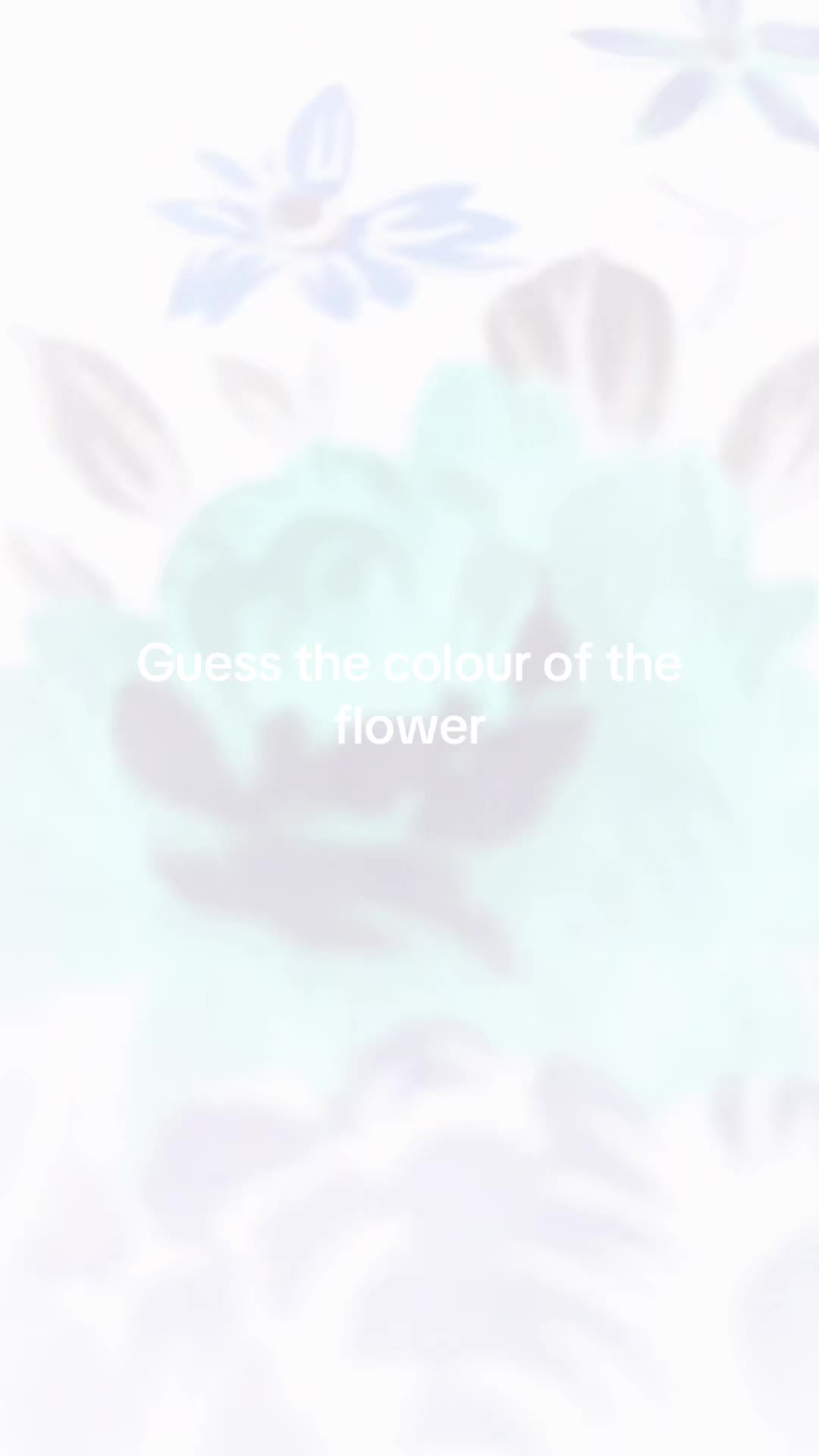 @White picture
