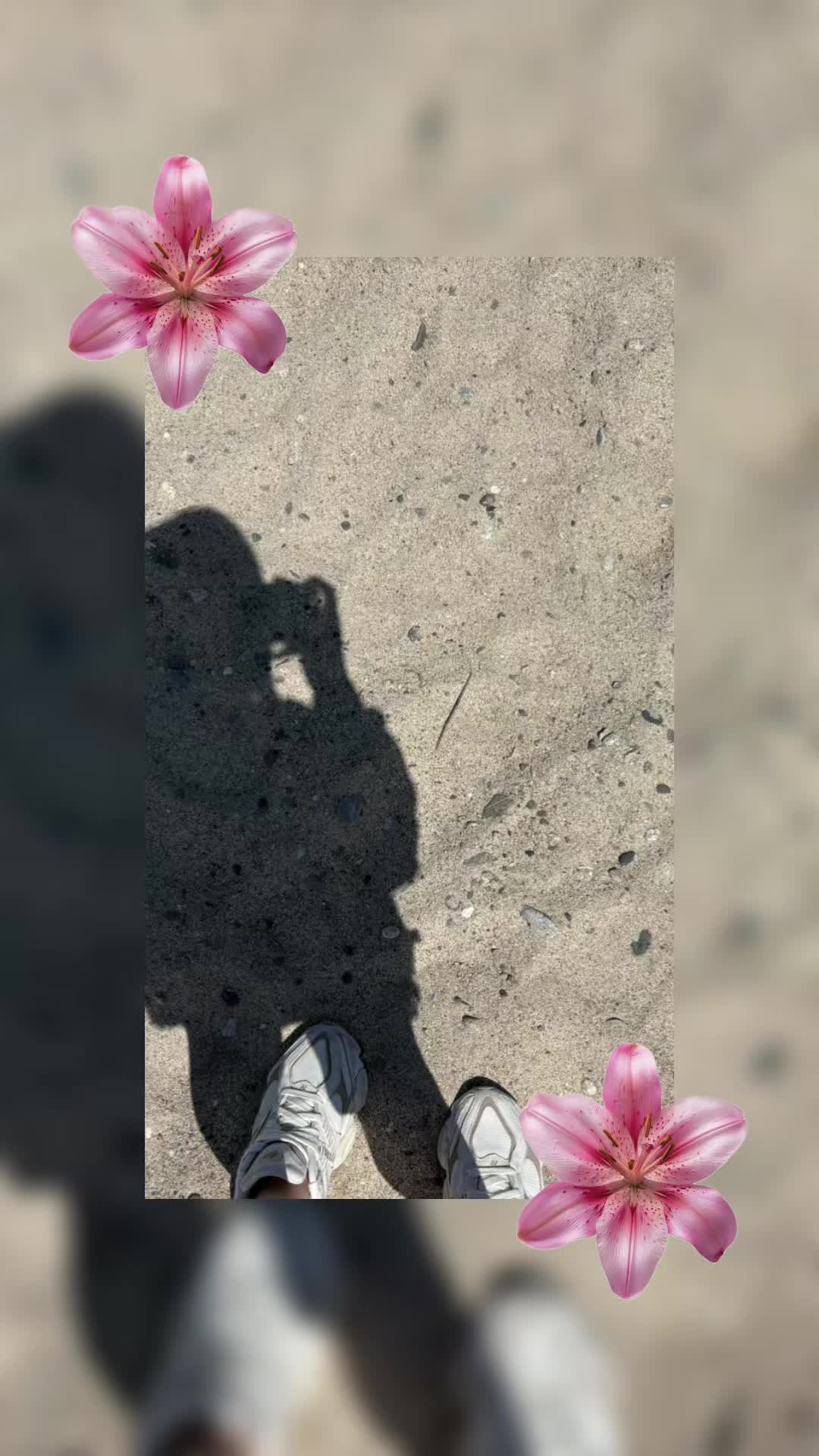 @Chloe Giordano