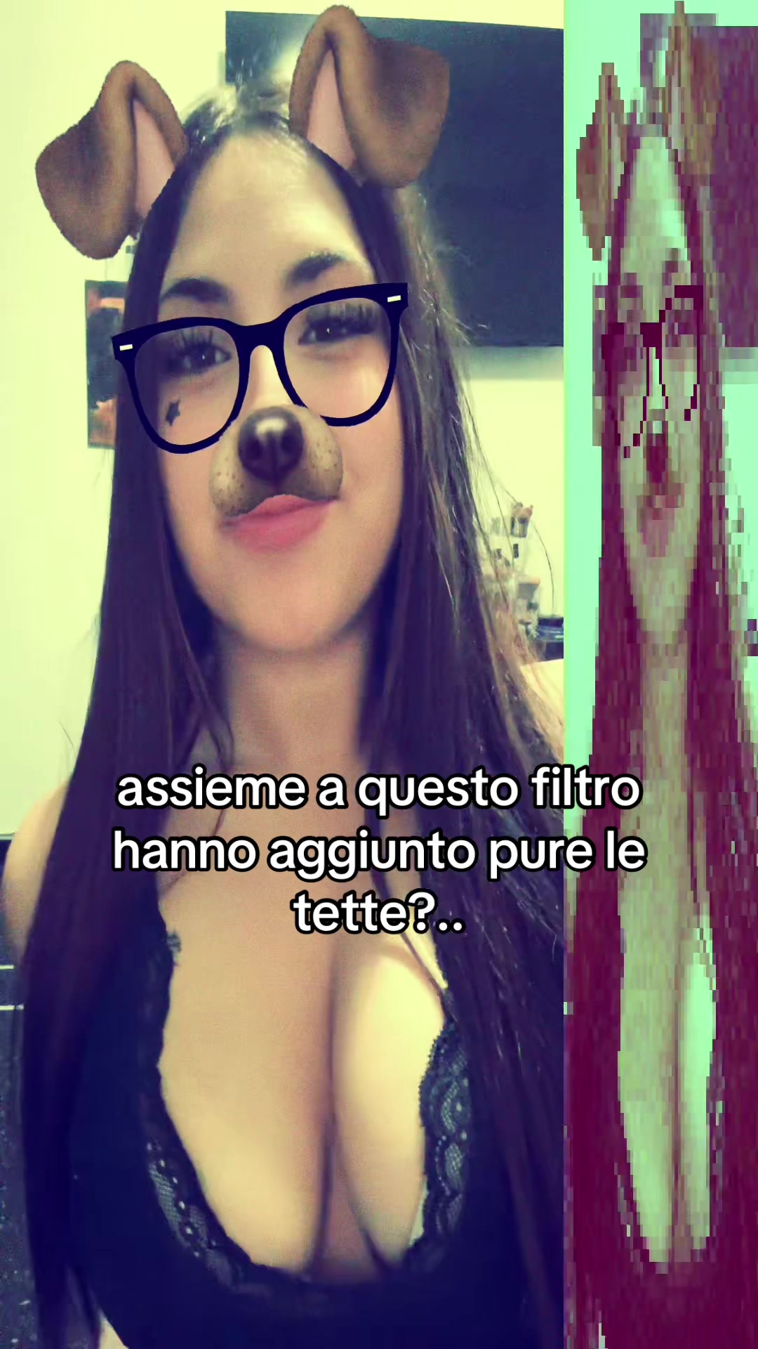 @lapampeee