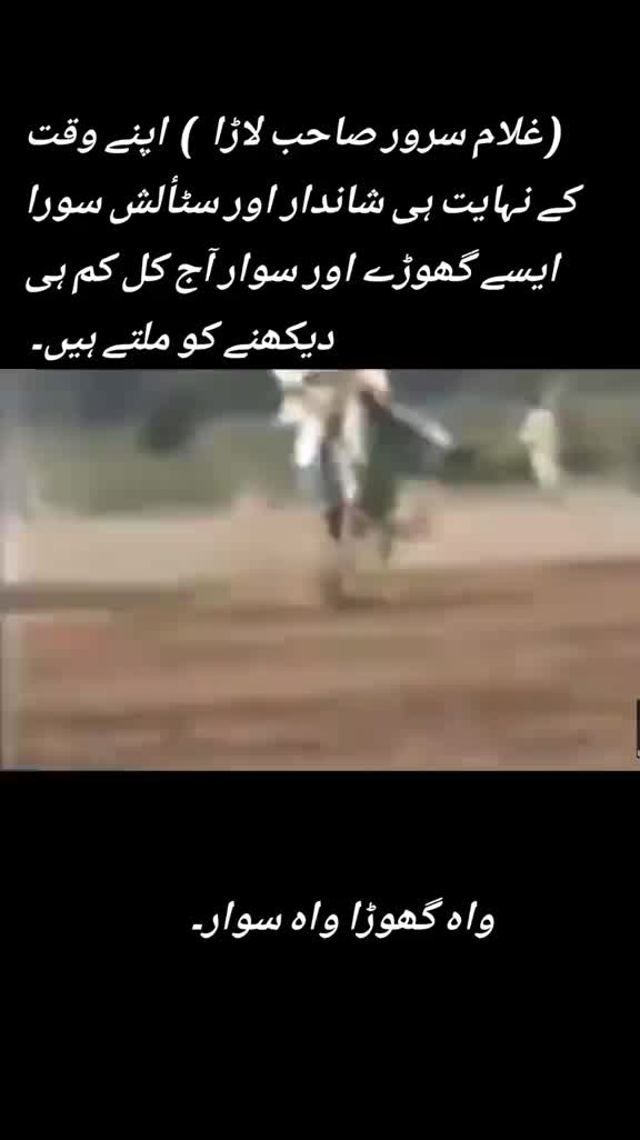 @Afaq gujjar chakora