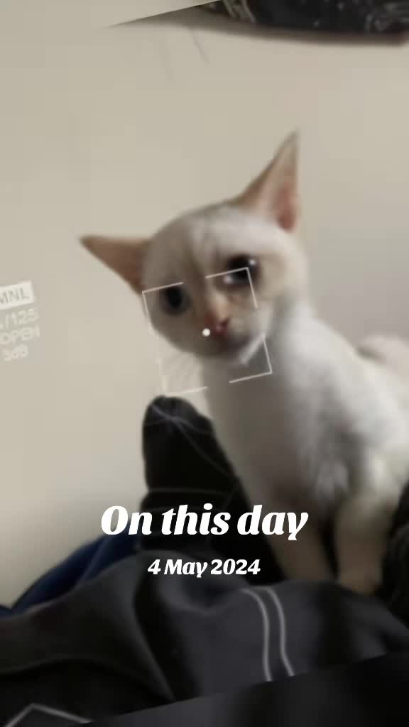 @jamesb4161