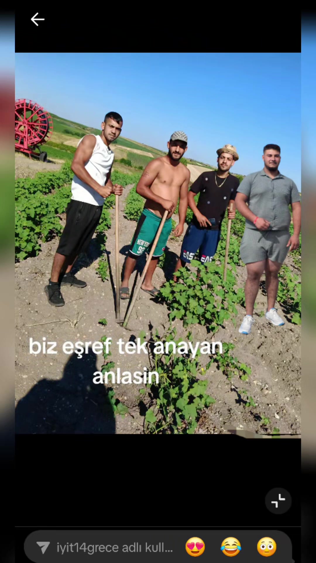 @sezgin tek