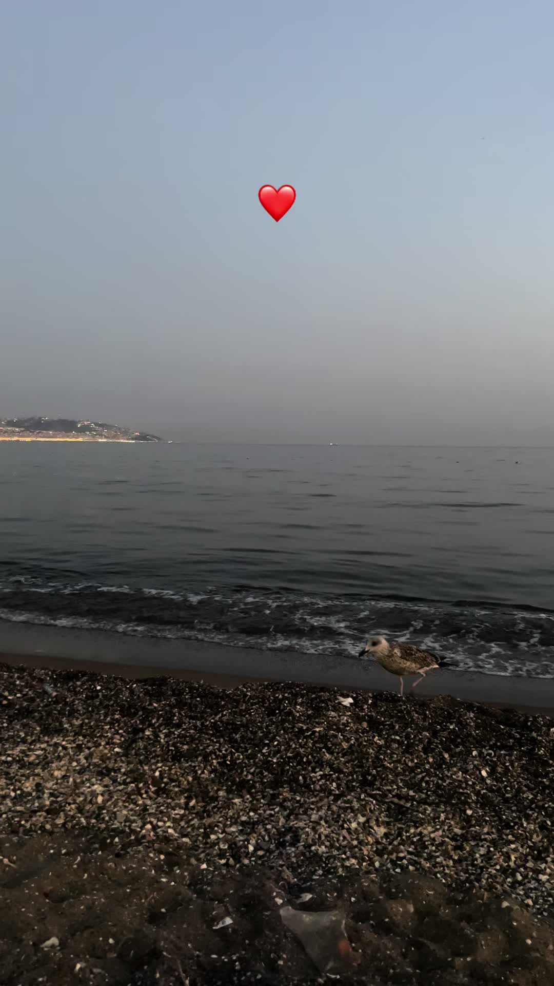 @❤️