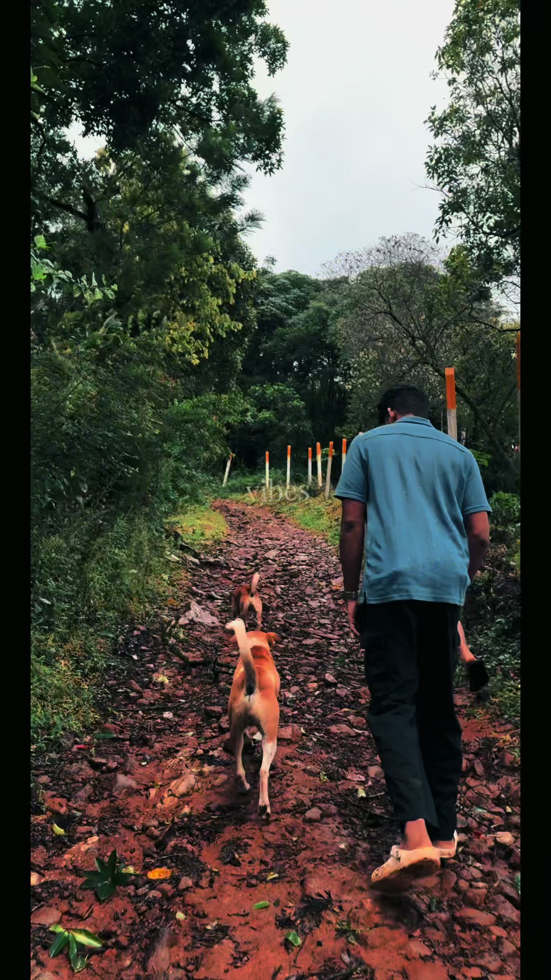 @Hari krishnan