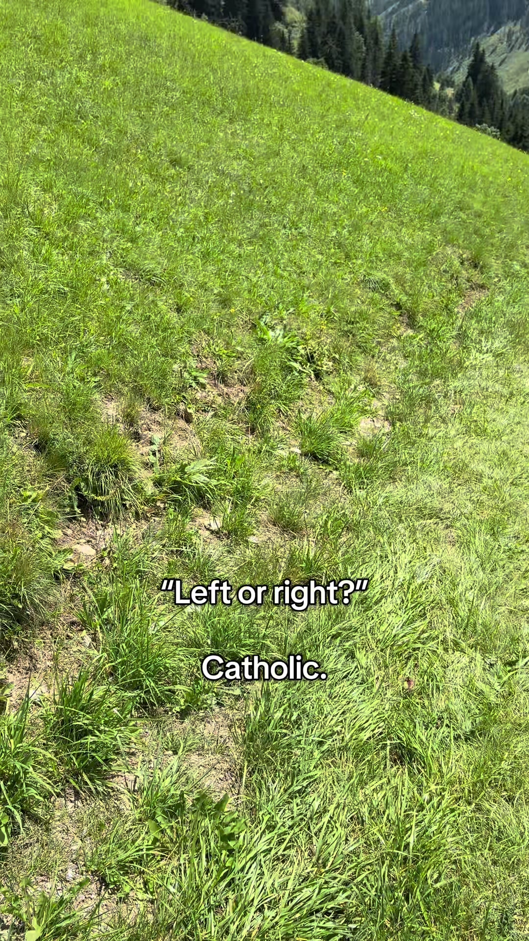 @glaukenstücken ♱🇻🇦