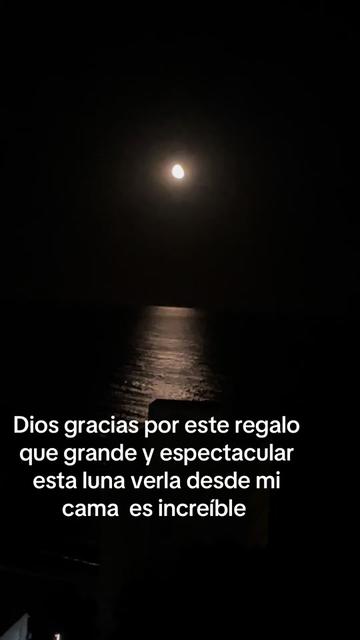 @Carmen Tomás 13