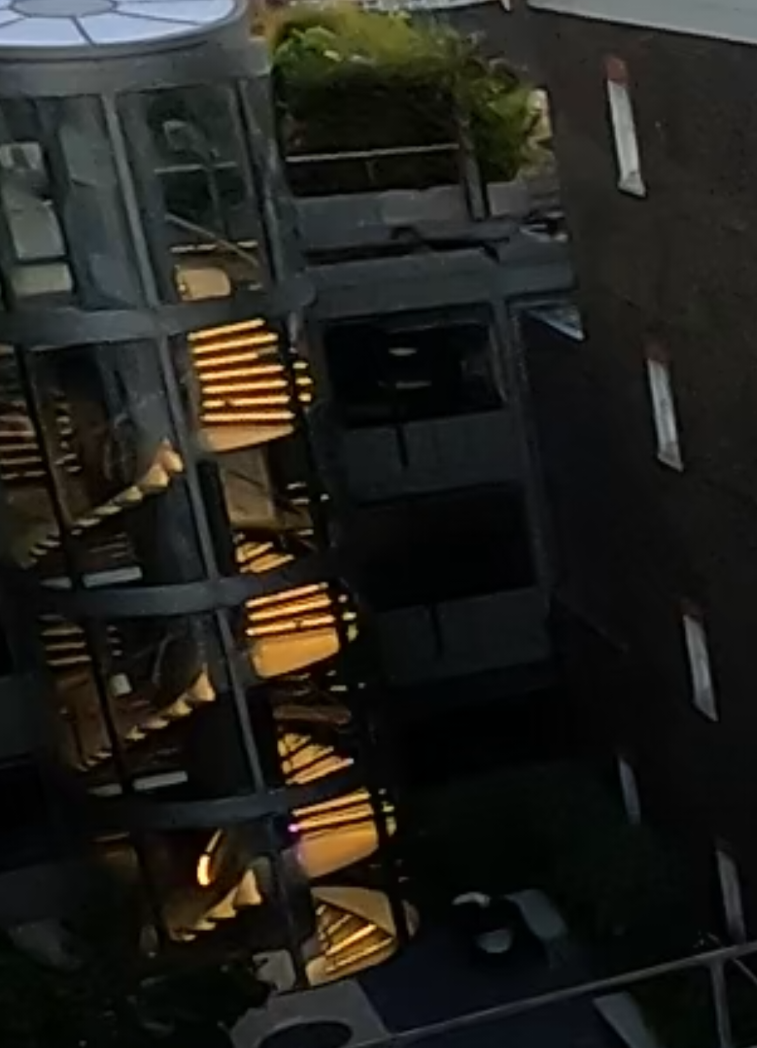 @ボロウスキー クモ