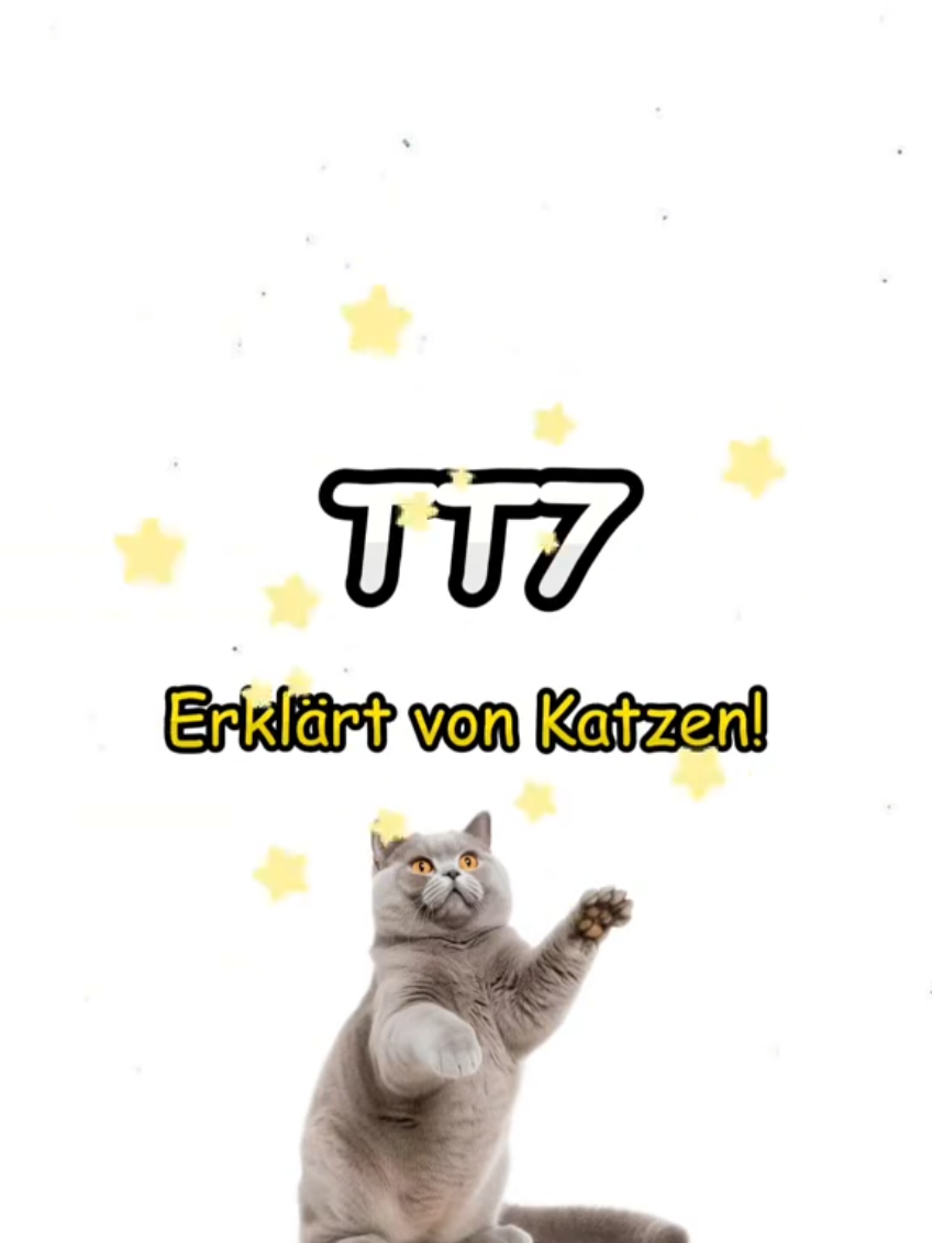 @TT7.HdM