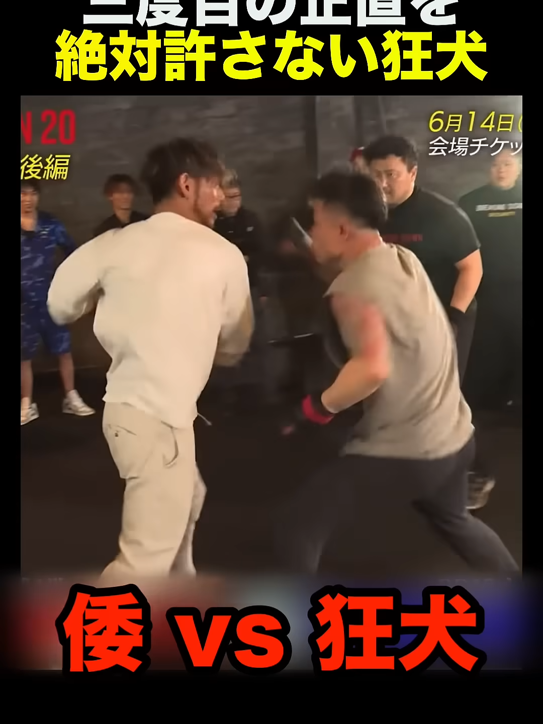 @jp