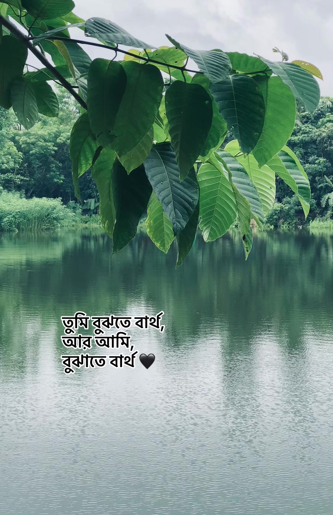 @_নিখোঁজ_