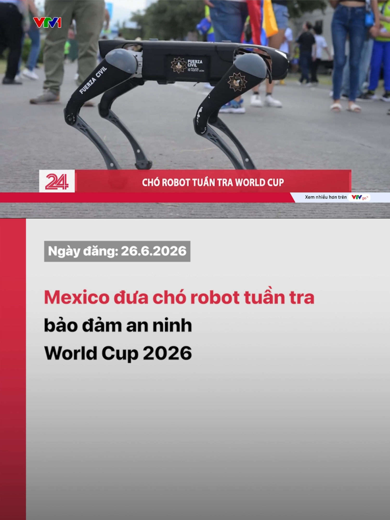 @VTV24