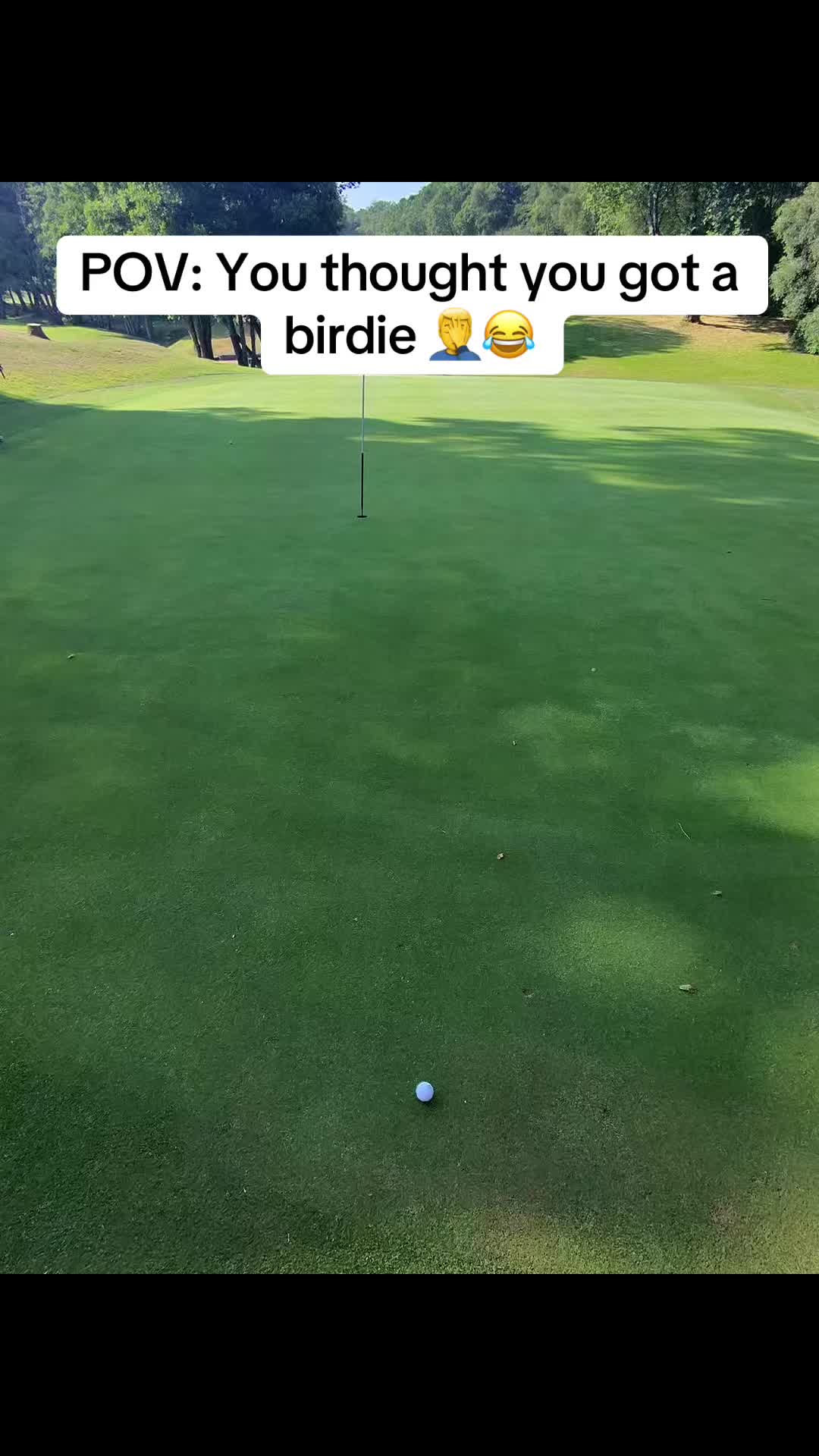 @GolfBite