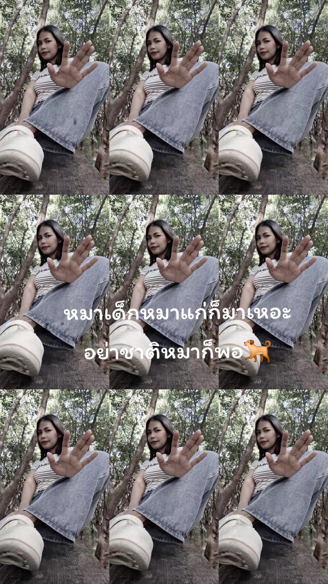 @เฉาก๊วยนมสด