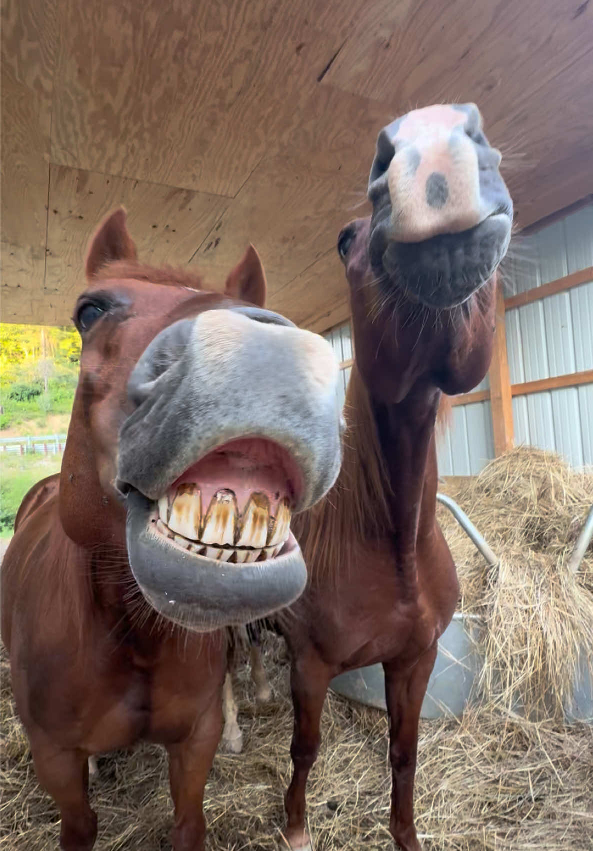 @Densmore Ranch