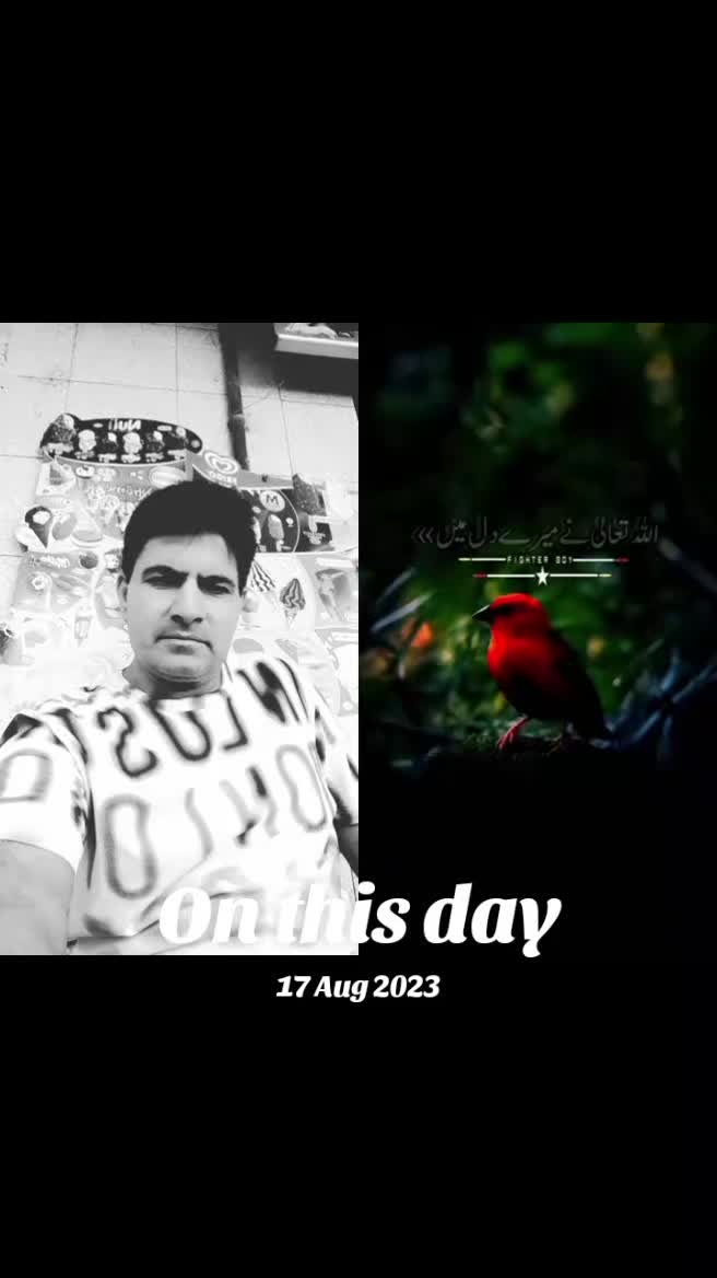 @m  Abbas hashmi