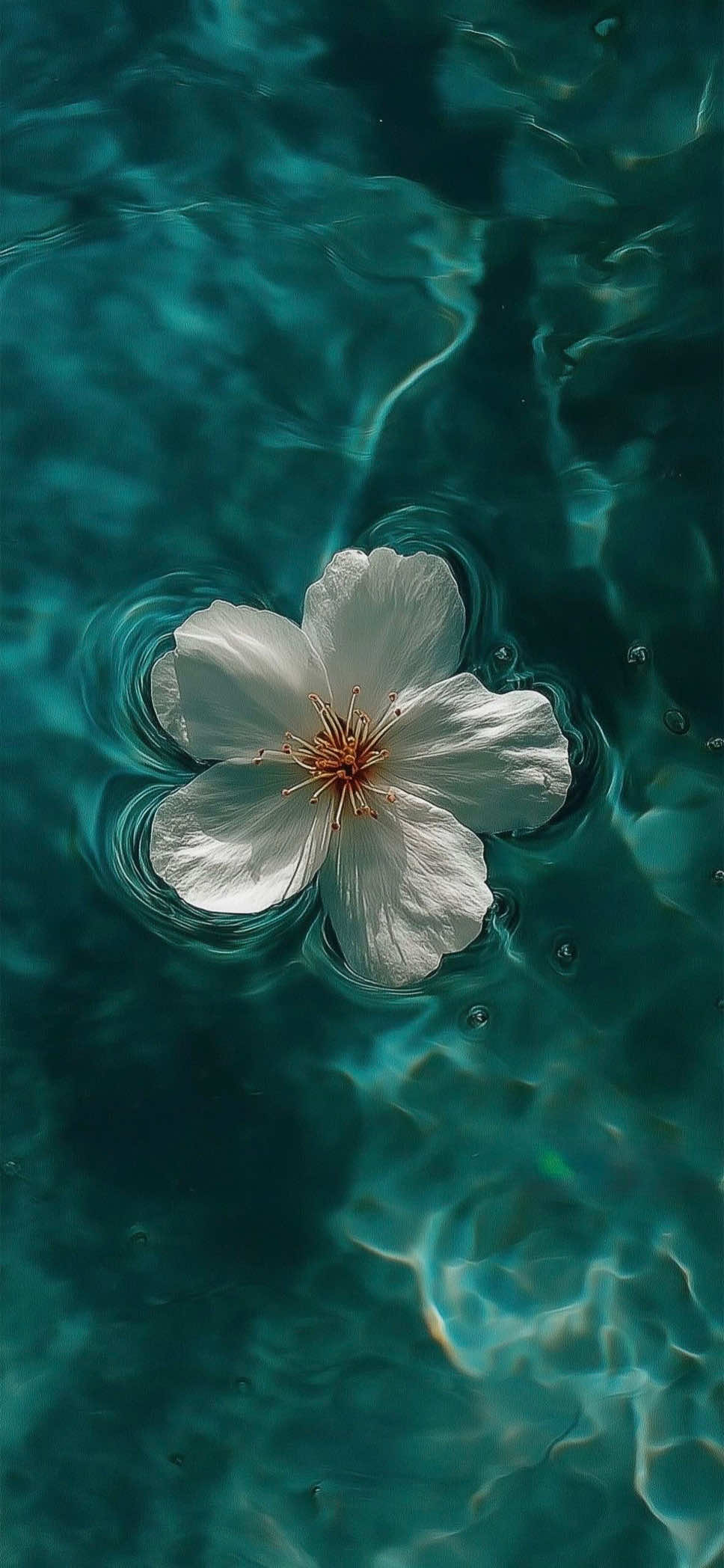 @LINCKY🏝️🌺🦜🥭