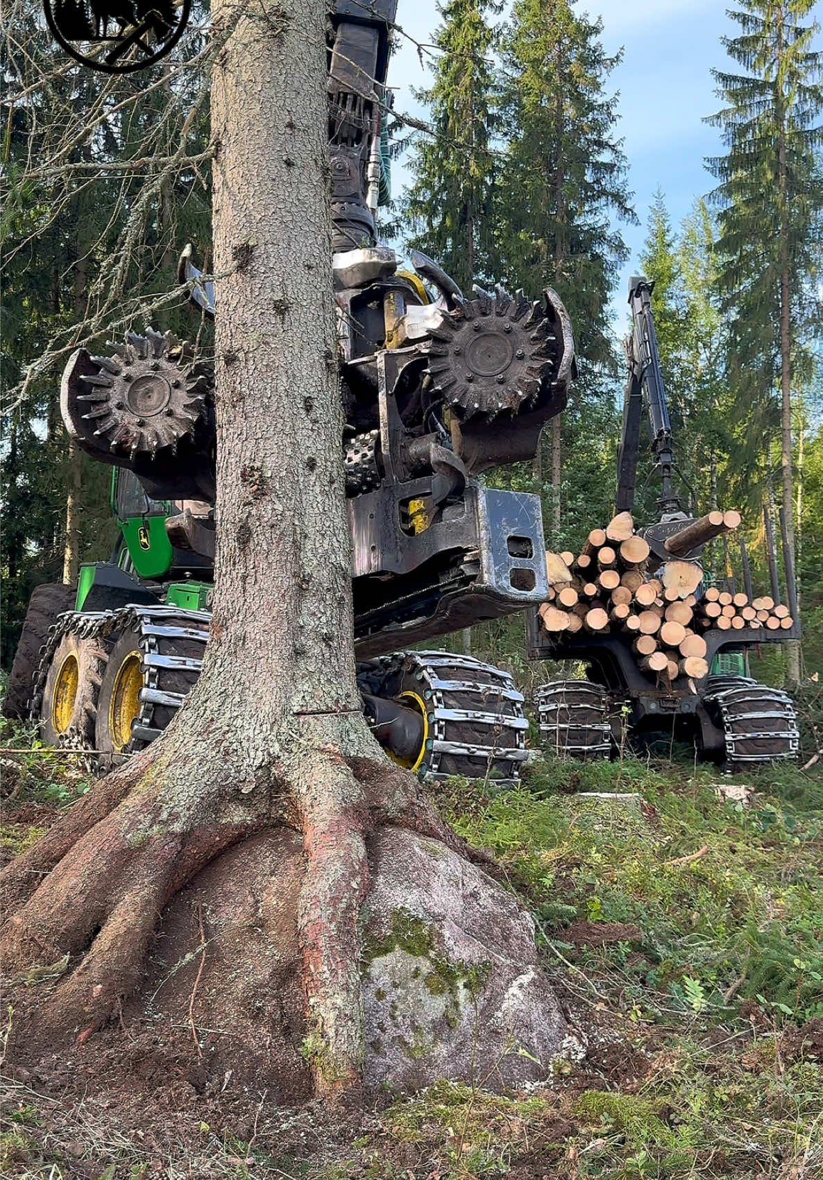 @Metsätalous