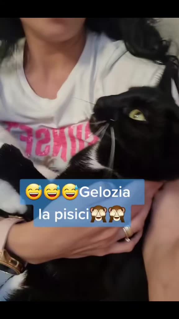 @🐯Aliss.K🤍🍫