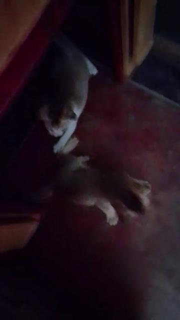 @এলিয়েন গালফ্রেন্ড🤭🤭🫣