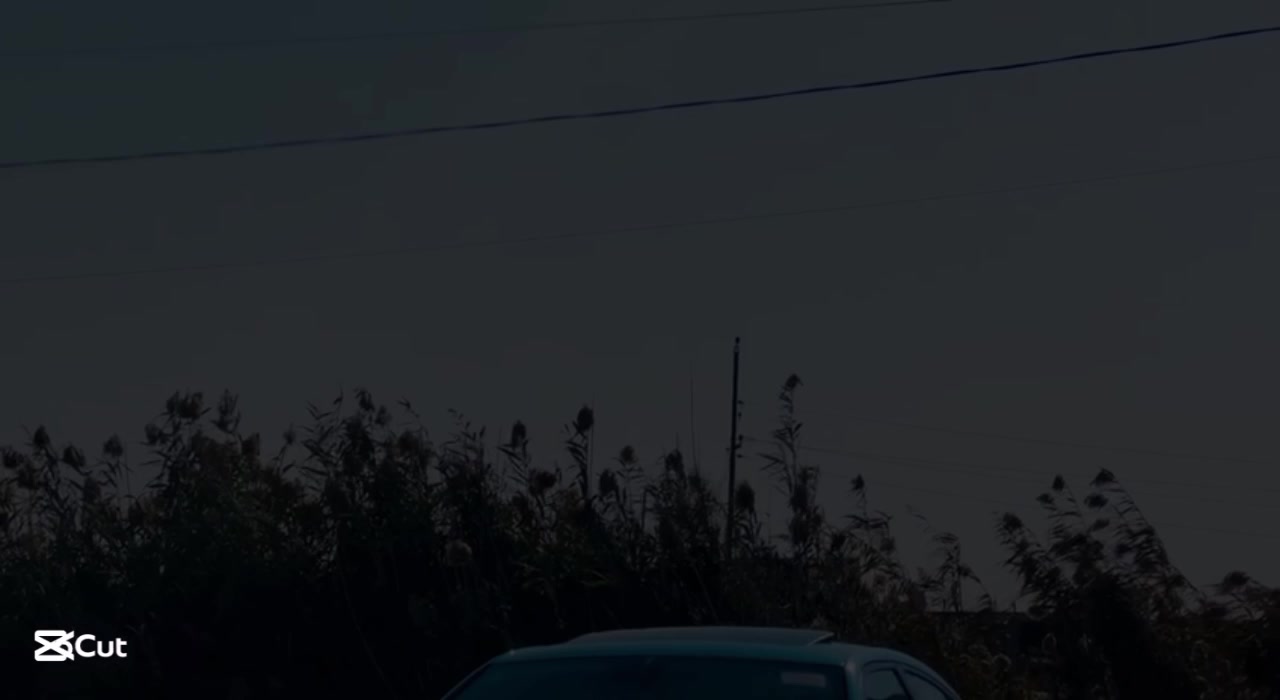 @الزعيم طال عمره