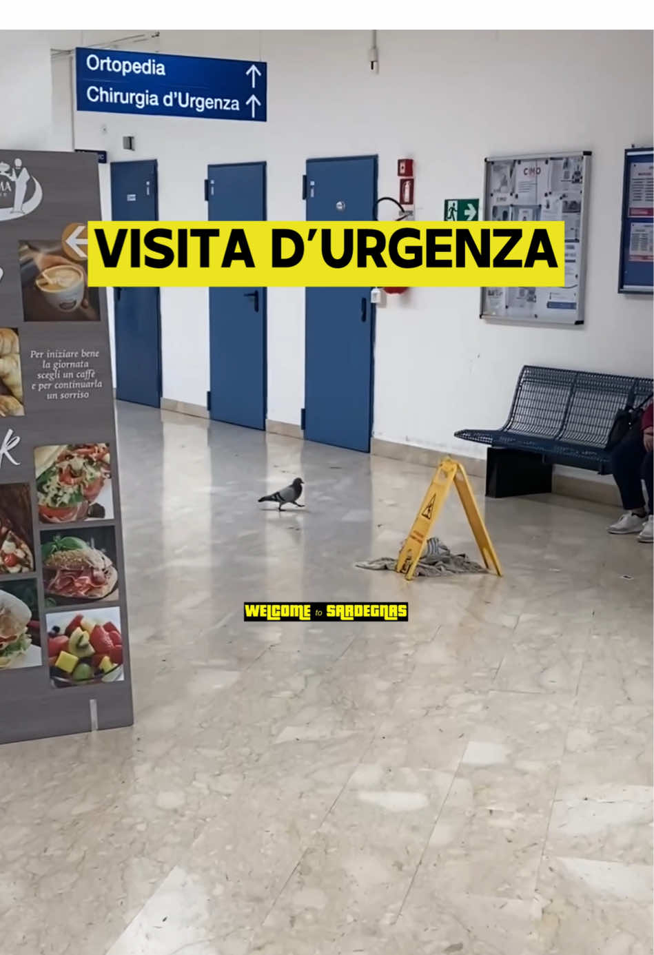 @Welcome to Sardegnas