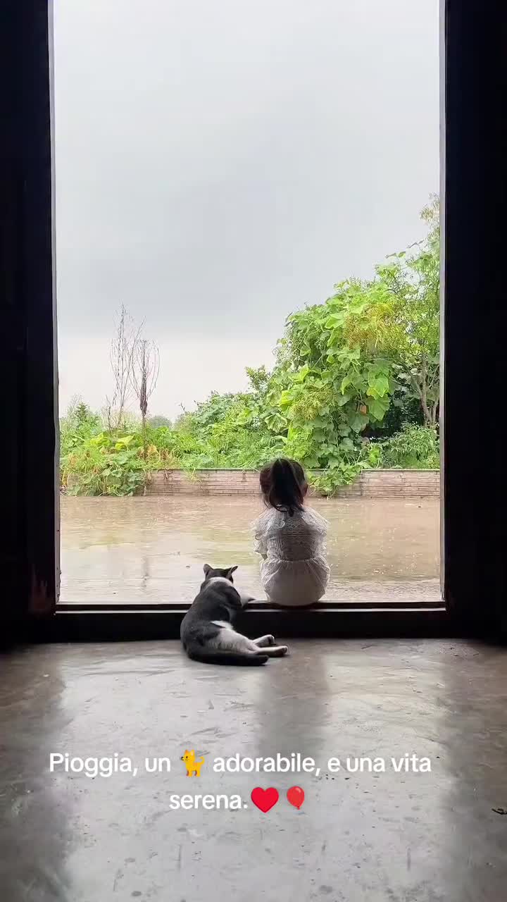 @cuore.animale