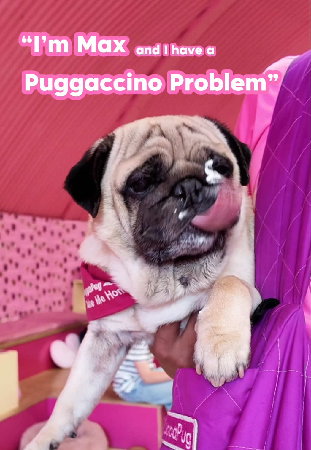@CuppaPug